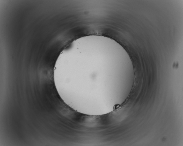 X0000103950096200809261758