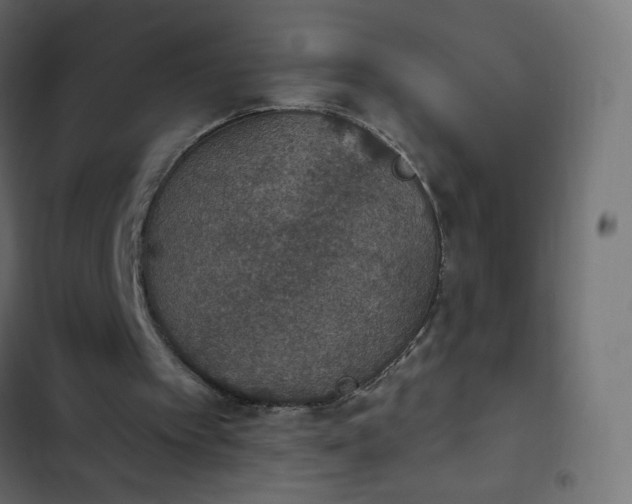 X0000103950097200809261757