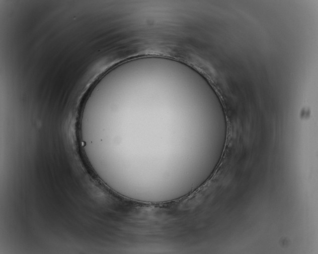 X0000103950098200809261757