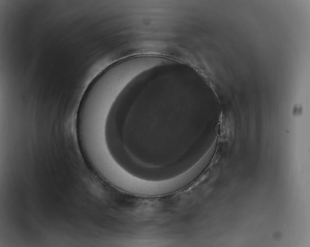 X0000103950099200809261757