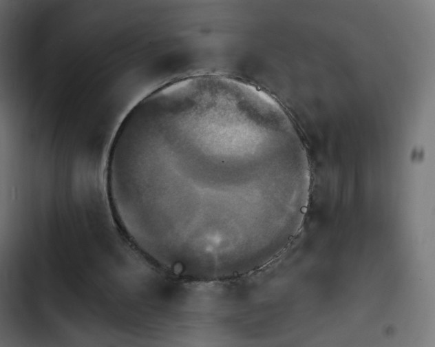 X0000103950100200809261757