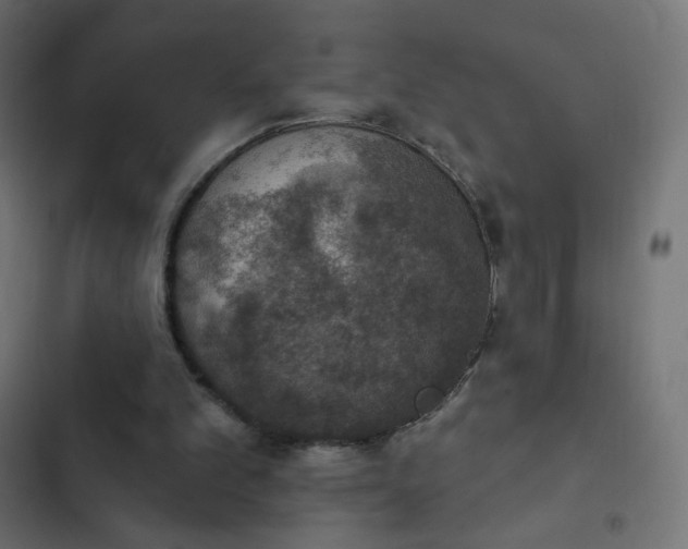 X0000103950101200809261757