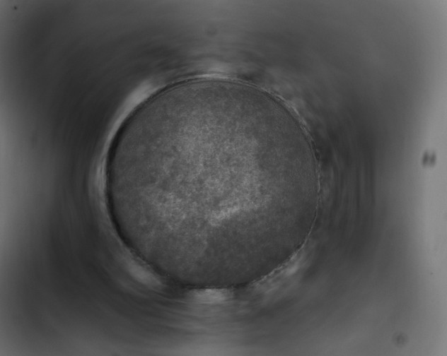 X0000103950102200809261757