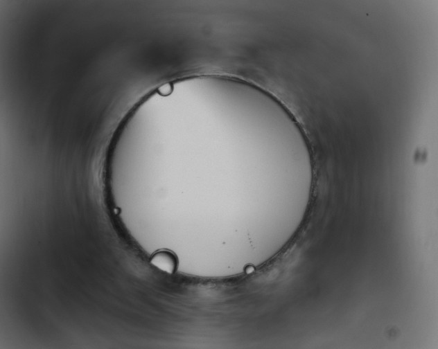 X0000103950103200809261757