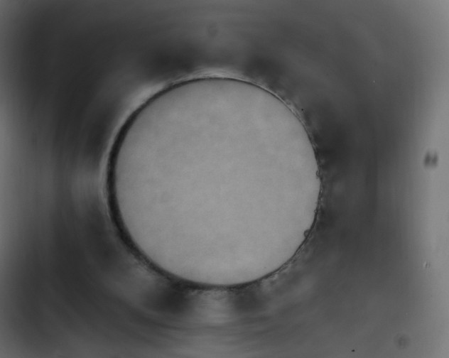 X0000103950104200809261757