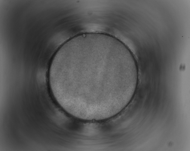 X0000103950105200809261757