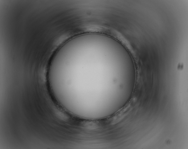 X0000103950106200809261757