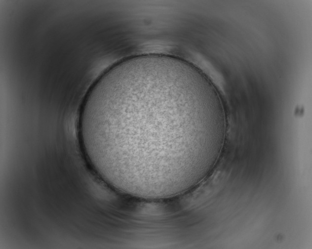 X0000103950107200809261757