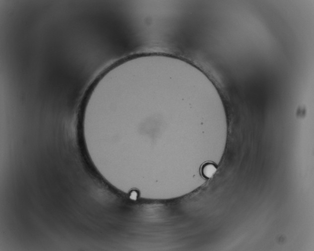 X0000103950108200809261757