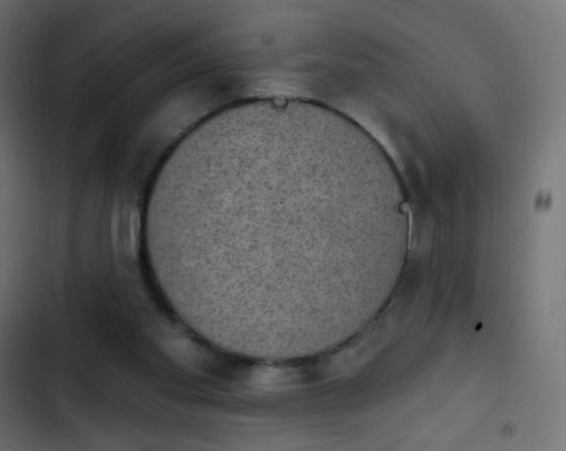 X0000103950109200809261757