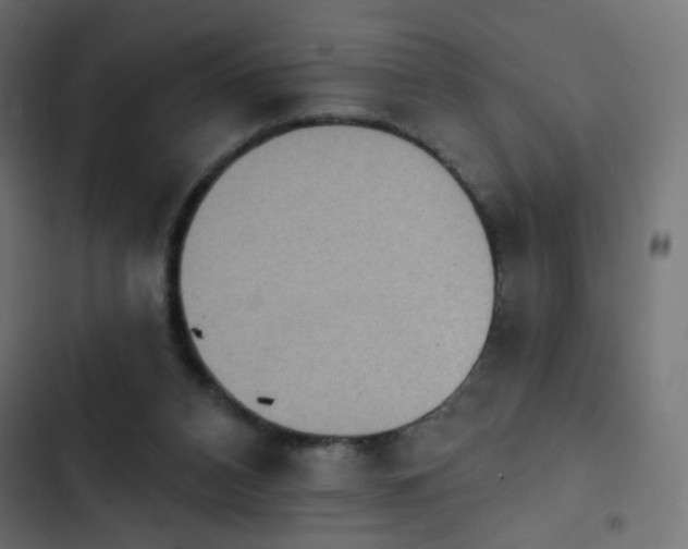 X0000103950112200809261757