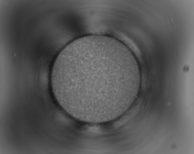 X0000103950113200809261757