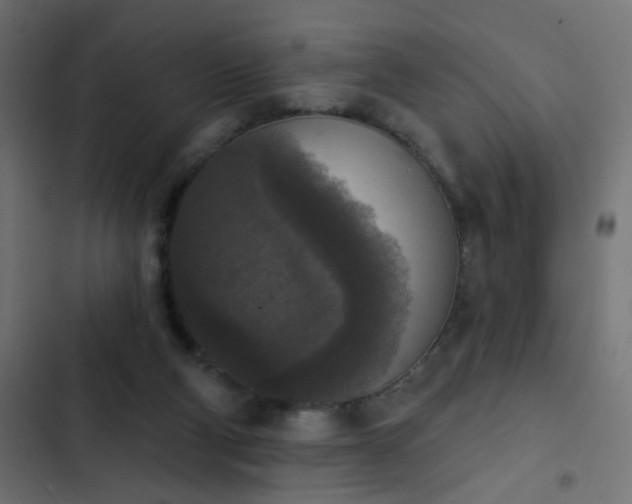 X0000103950114200809261757