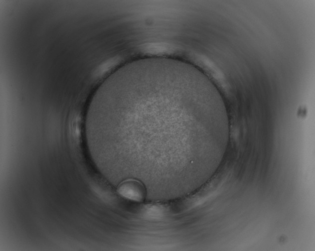 X0000103950115200809261757