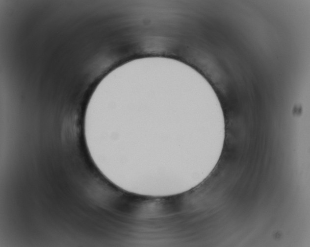 X0000103950116200809261757