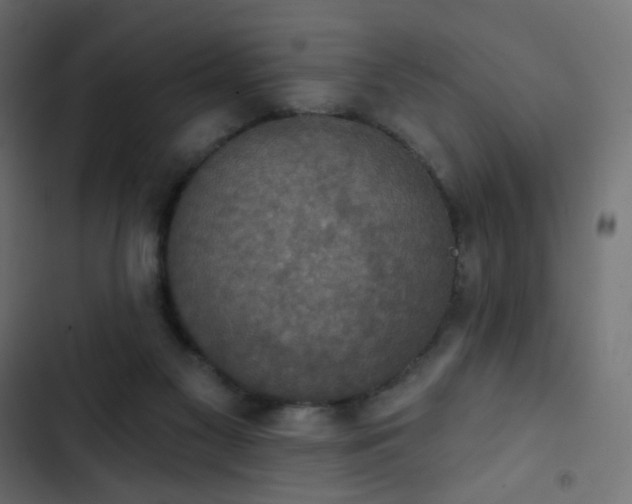 X0000103950117200809261757