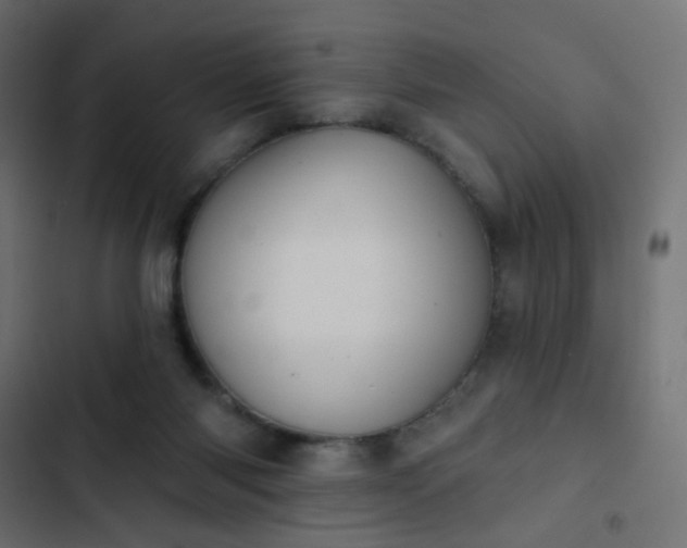 X0000103950118200809261757