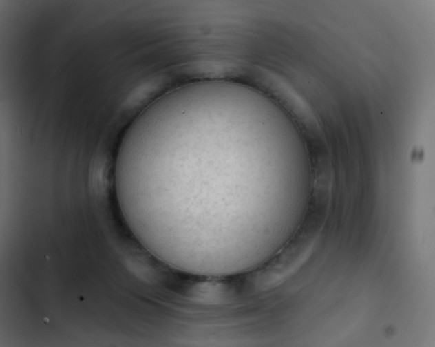 X0000103950119200809261757