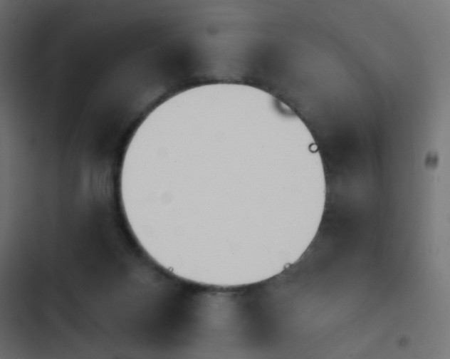 X0000103950120200809261757