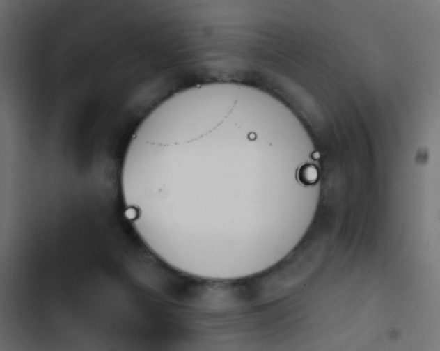 X0000103950121200809261757