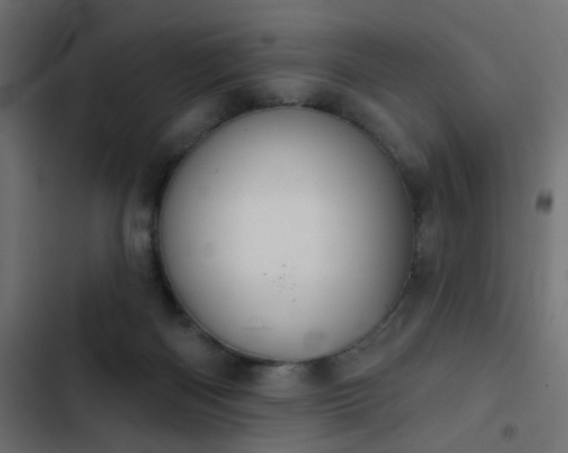 X0000103950122200809261757