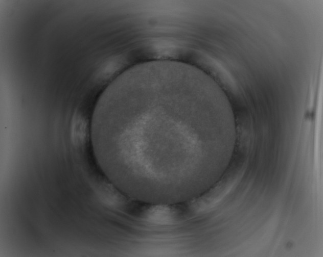 X0000103950123200809261757