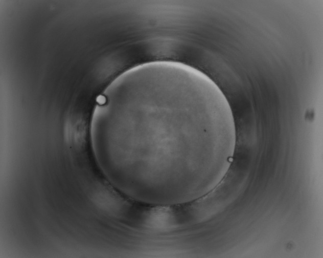 X0000103950124200809261757