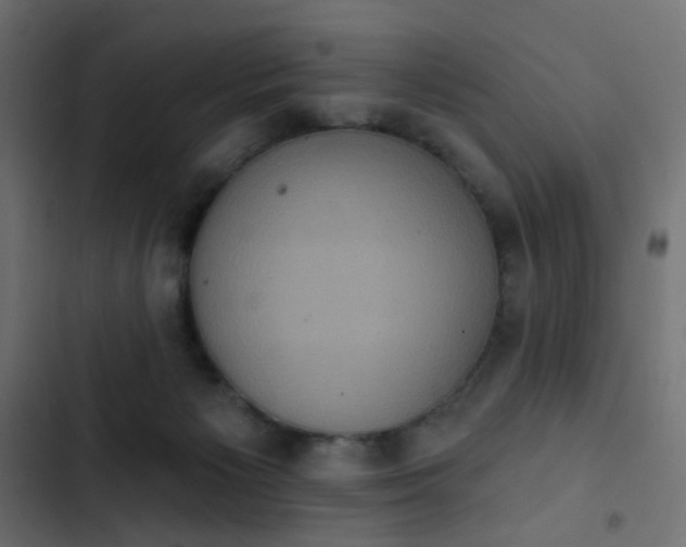 X0000103950125200809261757