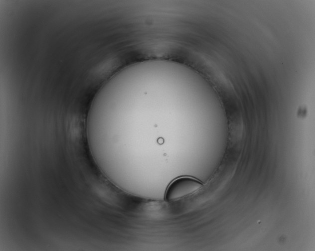 X0000103950126200809261757