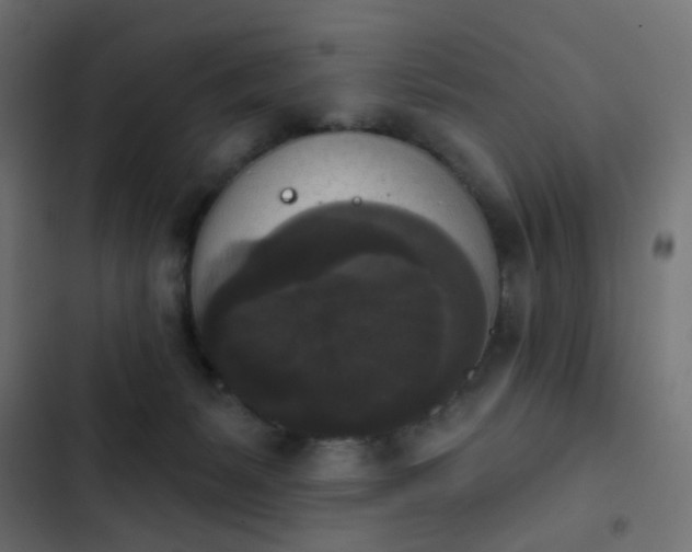 X0000103950127200809261756