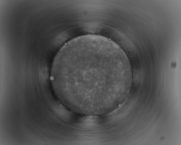 X0000103950128200809261756