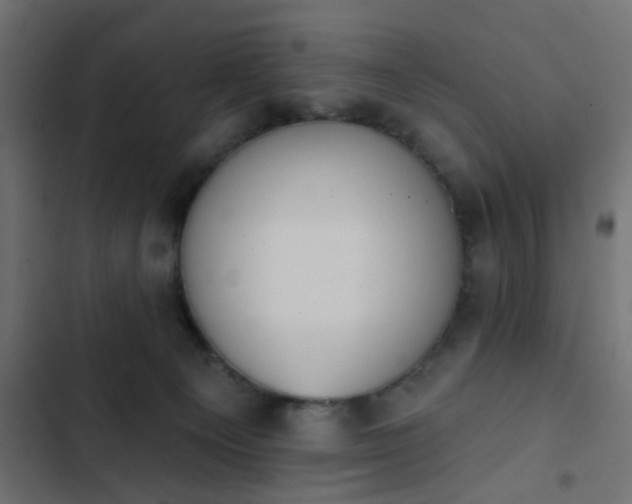 X0000103950129200809261756