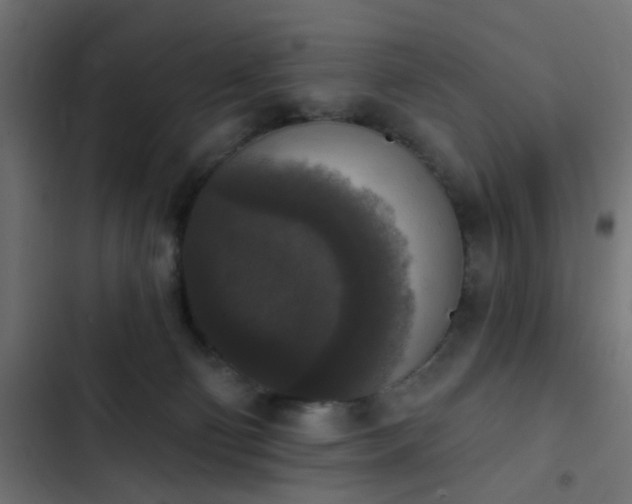 X0000103950130200809261756