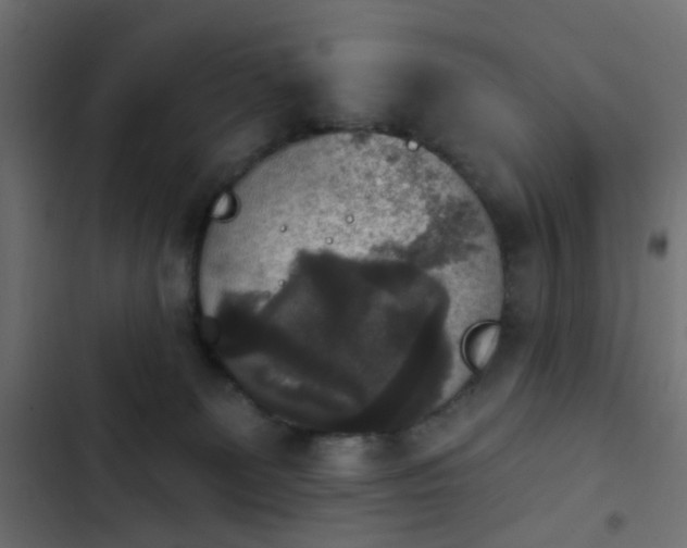 X0000103950131200809261756