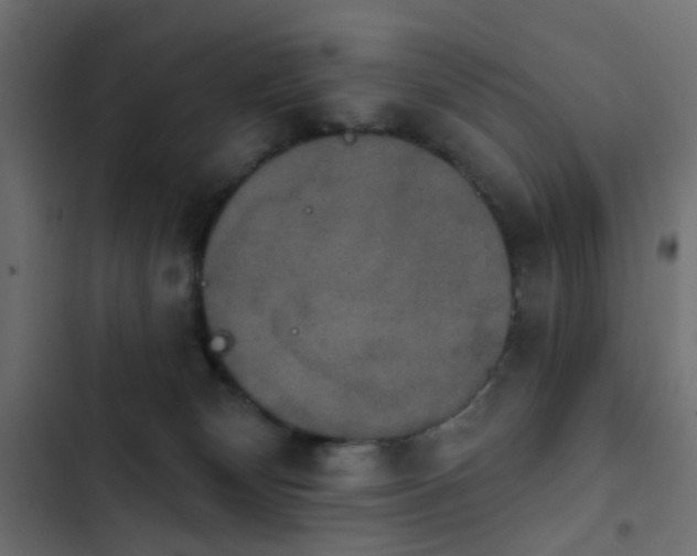 X0000103950132200809261756