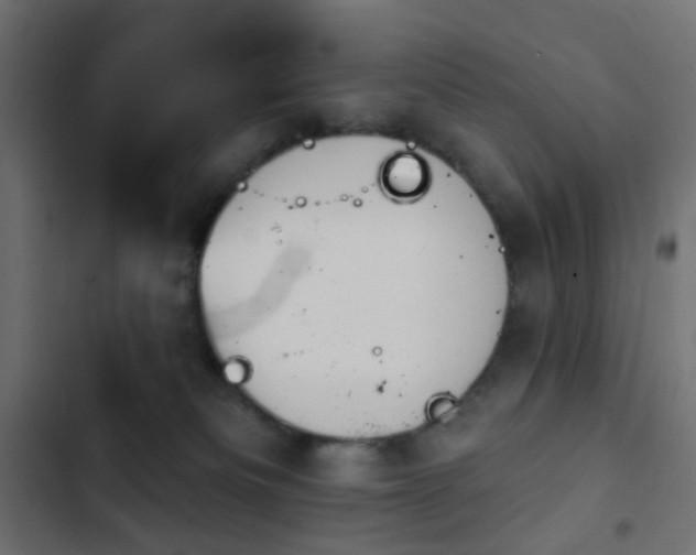 X0000103950133200809261756