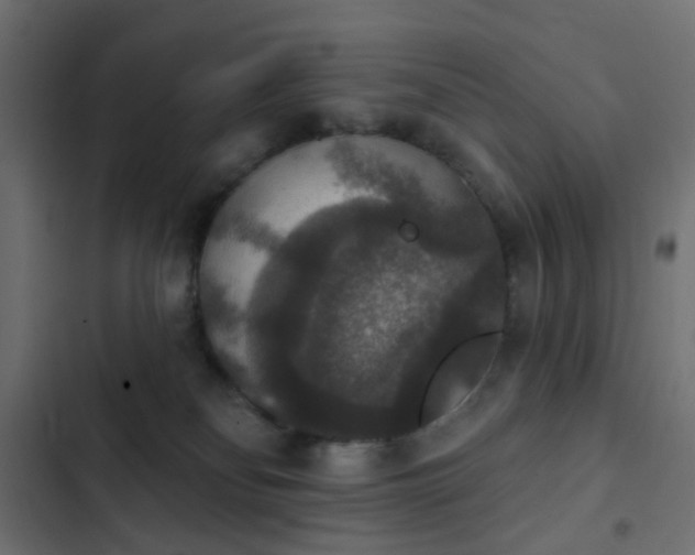 X0000103950134200809261756