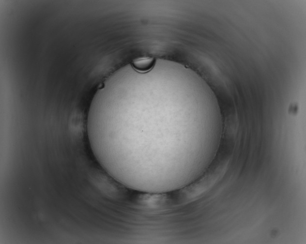 X0000103950135200809261756