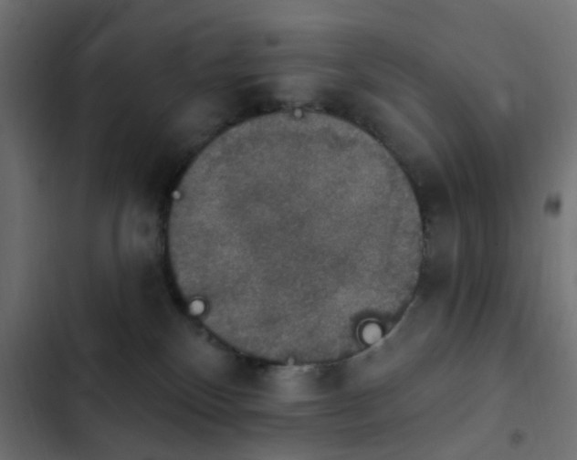 X0000103950136200809261756