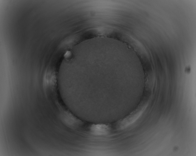 X0000103950137200809261756