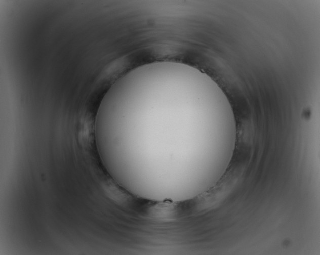 X0000103950138200809261756