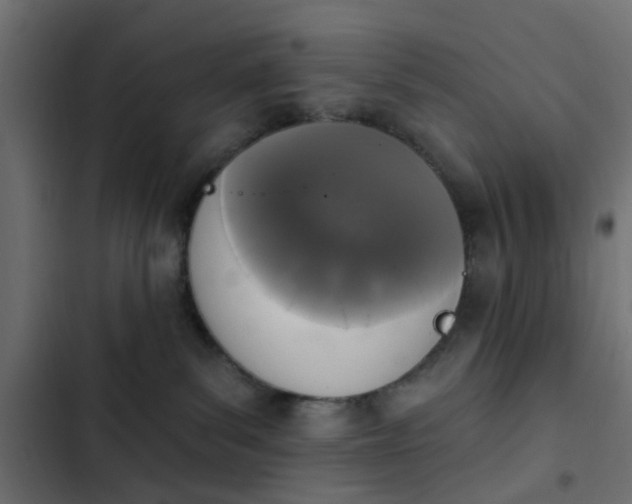 X0000103950139200809261756