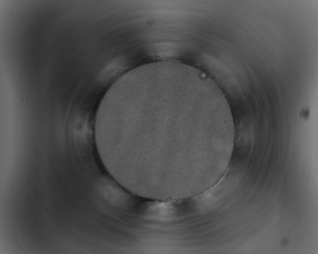 X0000103950140200809261756