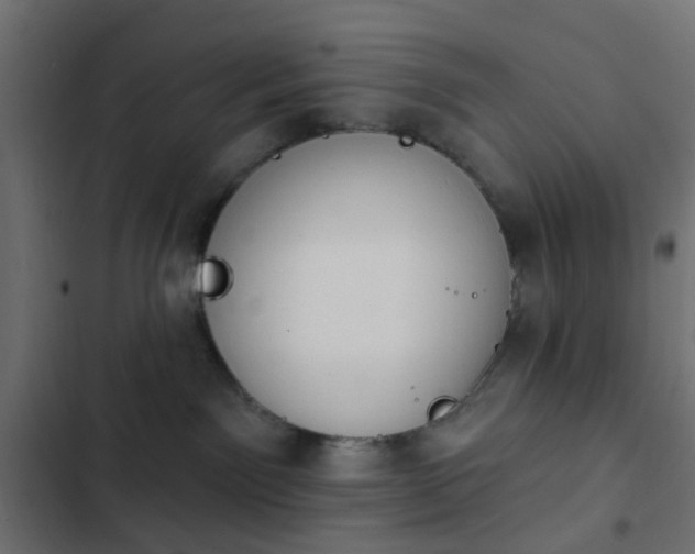 X0000103950141200809261756