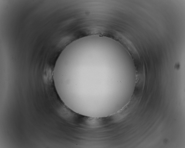 X0000103950142200809261756