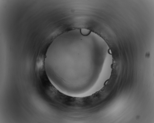 X0000103950143200809261756