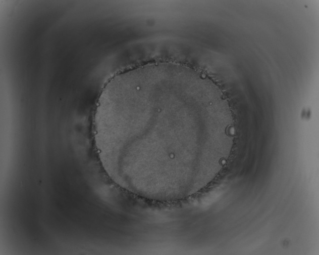 X0000103950144200809261756