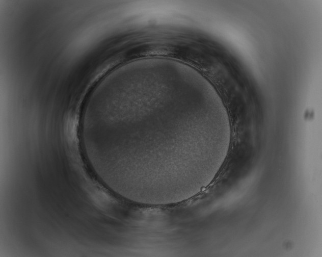 X0000103950146200809261756