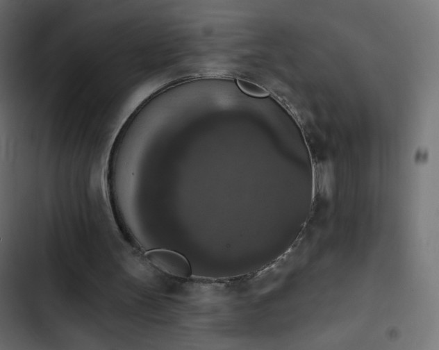 X0000103950147200809261756