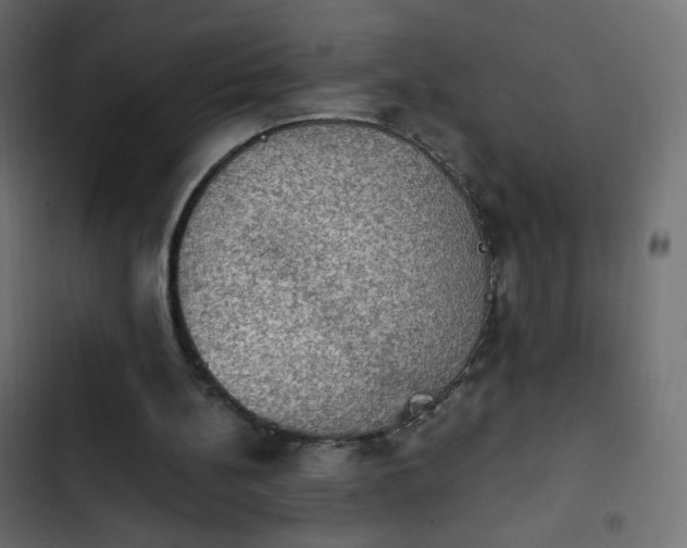 X0000103950148200809261756